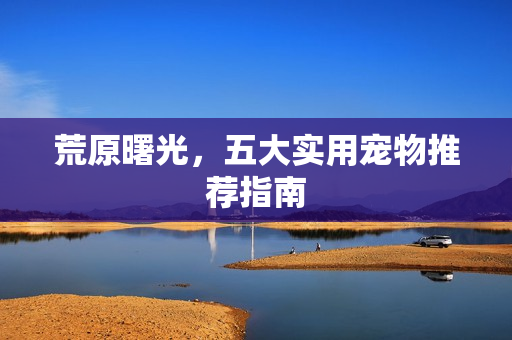 荒原曙光,五大实用宠物推荐指南 荒原曙光,五大实用宠物推荐指南