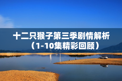 十二只猴子第三季剧情解析（1-10集精彩回顾）