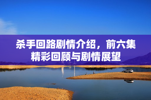 杀手回路剧情介绍，前六集精彩回顾与剧情展望