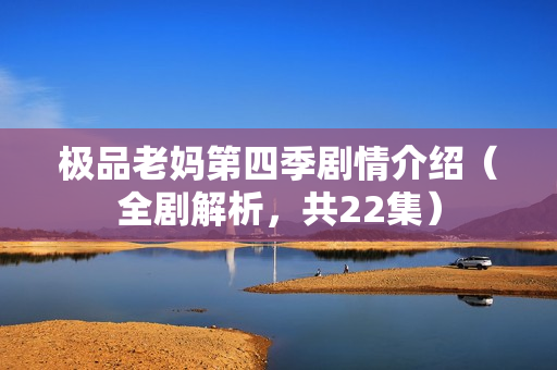 极品老妈第四季剧情介绍（全剧解析，共22集）