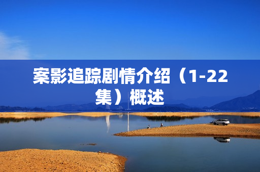 案影追踪剧情介绍（1-22集）概述