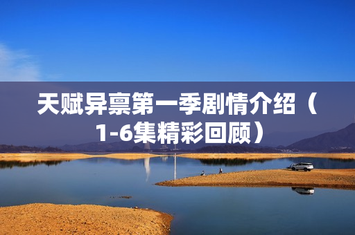 天赋异禀第一季剧情介绍（1-6集精彩回顾）