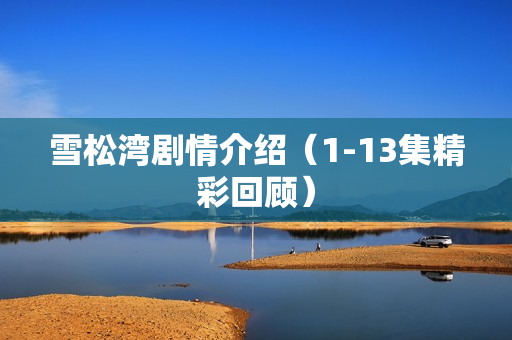 雪松湾剧情介绍（1-13集精彩回顾）