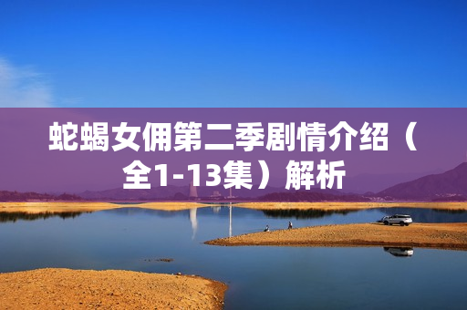 蛇蝎女佣第二季剧情介绍（全1-13集）解析