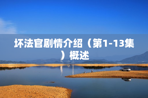 坏法官剧情介绍（第1-13集）概述