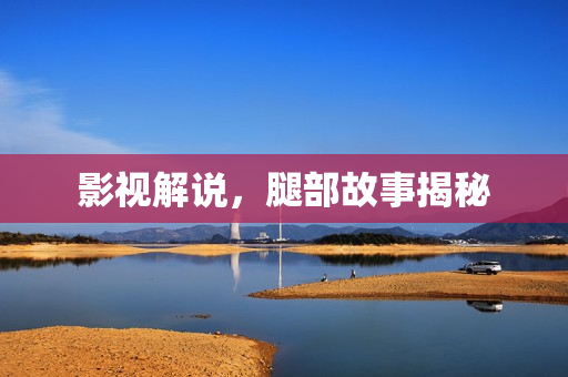 影视解说，腿部故事揭秘