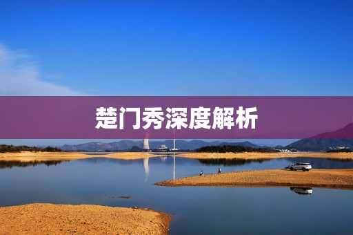 楚门秀深度解析