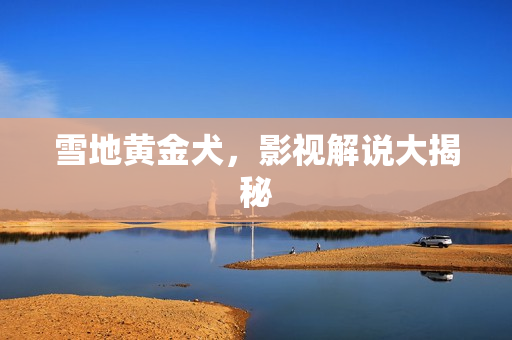 雪地黄金犬,影视解说大揭秘 雪地黄金犬,影视解说大揭秘