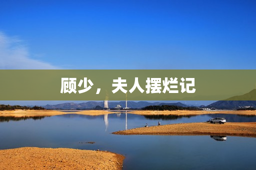 顾少，夫人摆烂记