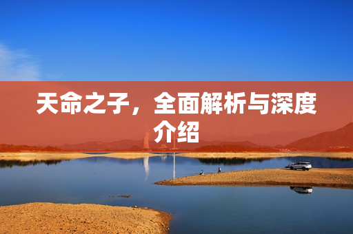 天命之子，全面解析与深度介绍