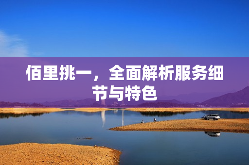 佰里挑一，全面解析服务细节与特色