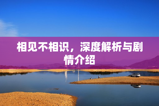 相见不相识，深度解析与剧情介绍