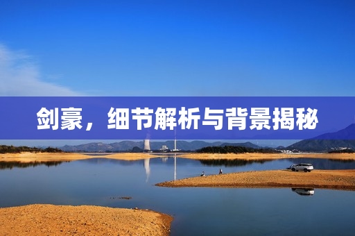 剑豪，细节解析与背景揭秘