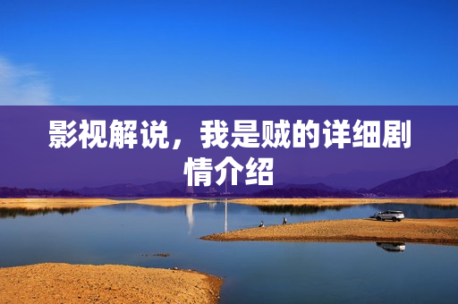 影视解说，我是贼的详细剧情介绍