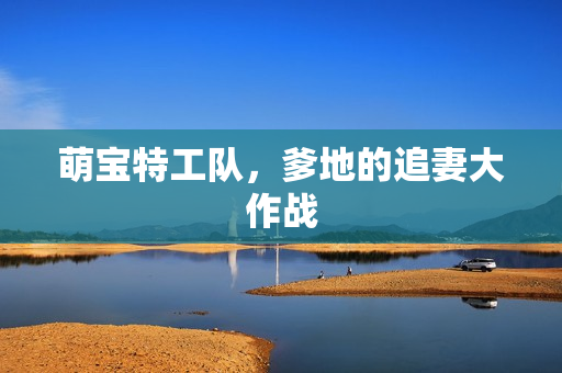 萌宝特工队，爹地的追妻大作战