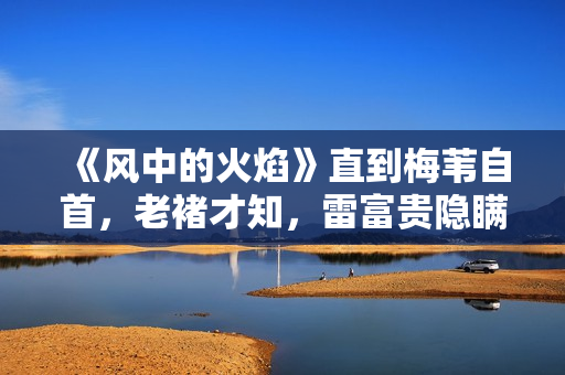 《风中的火焰》直到梅苇自首，老褚才知，雷富贵隐瞒的真相