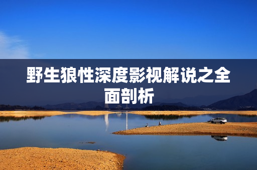 野生狼性深度影视解说之全面剖析