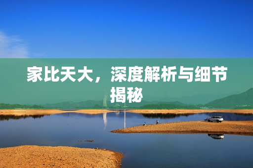 家比天大，深度解析与细节揭秘