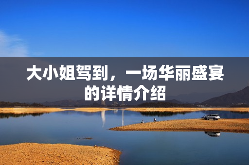 大小姐驾到，一场华丽盛宴的详情介绍