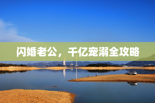 闪婚老公，千亿宠溺全攻略