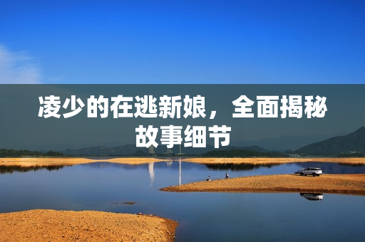 凌少的在逃新娘，全面揭秘故事细节