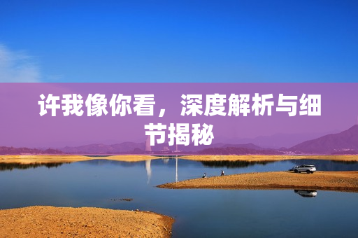 许我像你看，深度解析与细节揭秘