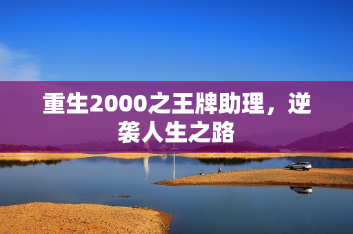 重生2000之王牌助理，逆袭人生之路