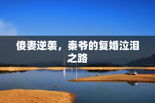 傻妻逆袭，秦爷的复婚泣泪之路