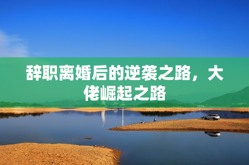 辞职离婚后的逆袭之路，大佬崛起之路