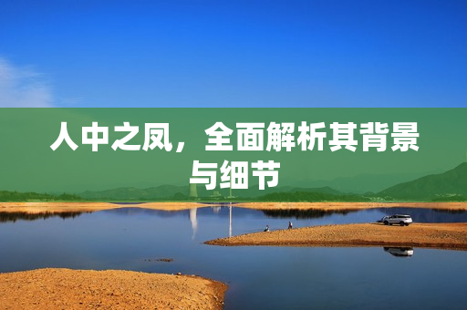 人中之凤，全面解析其背景与细节