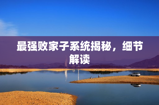 最强败家子系统揭秘，细节解读