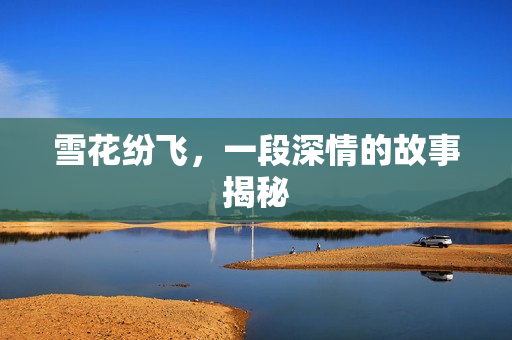 雪花纷飞，一段深情的故事揭秘