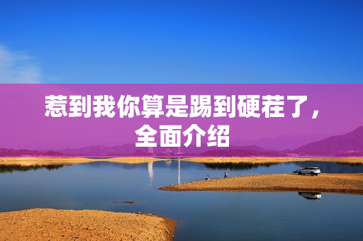 惹到我你算是踢到硬茬了，全面介绍