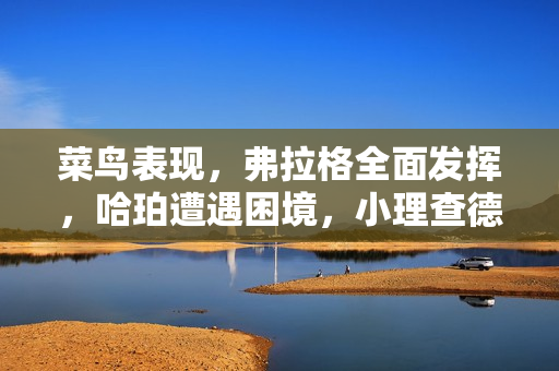 菜鸟表现，弗拉格全面发挥，哈珀遭遇困境，小理查德森得分上双