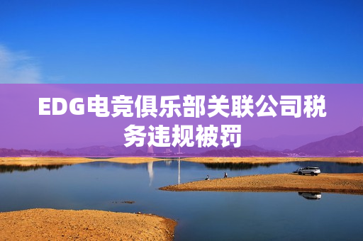 EDG电竞俱乐部关联公司税务违规被罚