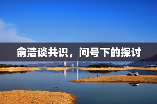 俞浩谈共识，问号下的探讨