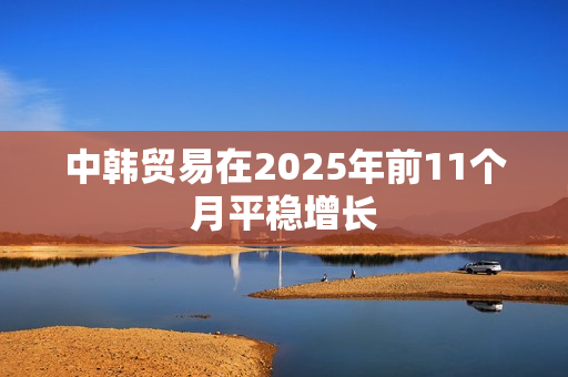 中韩贸易在2025年前11个月平稳增长