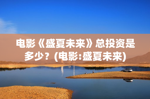 电影《盛夏未来》总投资是多少？(电影:盛夏未来)