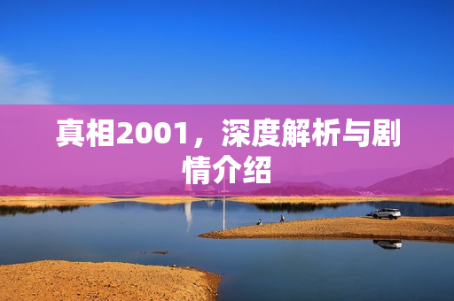 真相2001，深度解析与剧情介绍