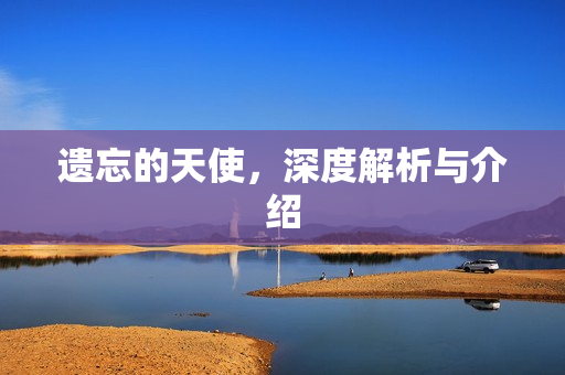 遗忘的天使，深度解析与介绍