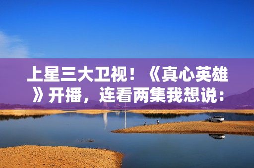 上星三大卫视！《真心英雄》开播，连看两集我想说：这才叫刑侦剧