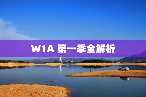 W1A 第一季全解析