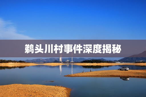 鹈头川村事件深度揭秘