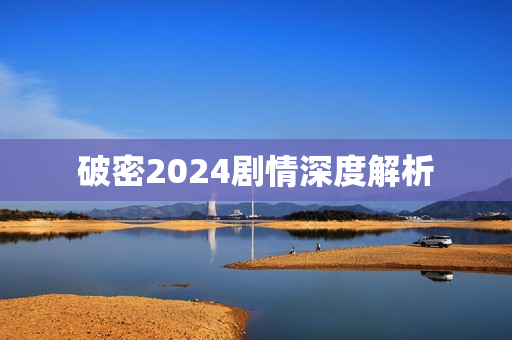 破密2024剧情深度解析