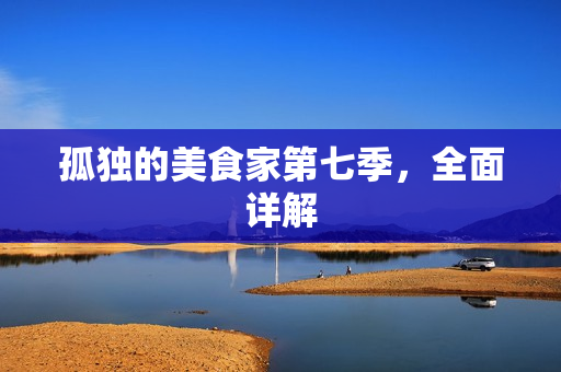 孤独的美食家第七季，全面详解