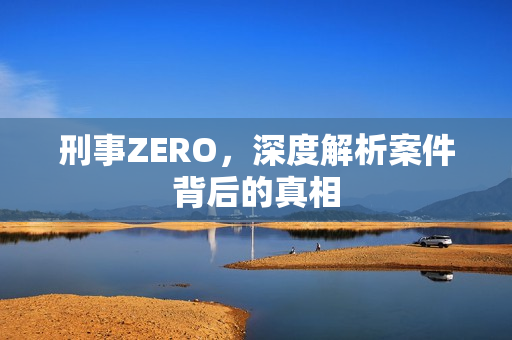 刑事ZERO，深度解析案件背后的真相