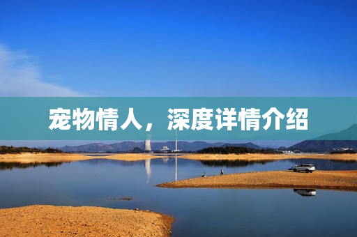 宠物情人，深度详情介绍