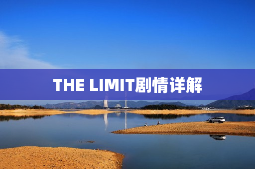 THE LIMIT剧情详解