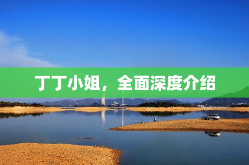 丁丁小姐，全面深度介绍