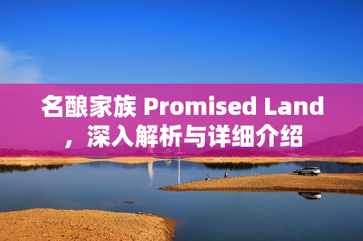 名酿家族 Promised Land，深入解析与详细介绍